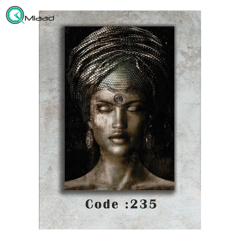 تابلو دکوراتیو شاین کد 235، جدیدترین مدل تابلو با بالاترین کیفیت چاپ، متریال پی وی سی قاب، تابلو هنری با کیفیت فوق العاده و قابل شستشو و طرح انتزاعی دختر آراسته تابلو