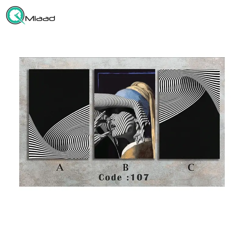 تابلو دکوراتیو شاین مدل 107، جدیدترین مدل تابلو با بالاترین کیفیت چاپ، متریال پی وی سی قاب، تابلو سه تیکه زیبا و جذاب، تابلو هنری با کیفیت فوق العاده و قابل شستشو، طرح خطوط سفید و دختر تابلو