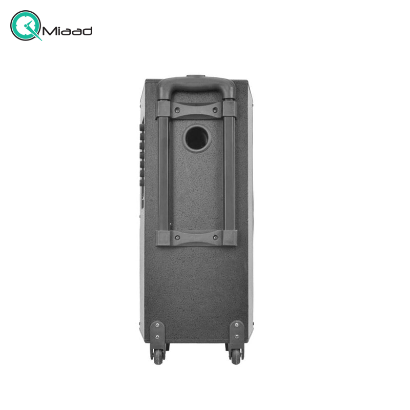 اسپیکر بلوتوث، اسپیکر بلوتوثی فوق العاده با بهره مندی از نورپردازی LED و نمایشگر اسپیکر، دارای دستگیره و چرخ برای حمل آسان، قابلیت های AUX,USB,BT,FM و میکروفون وایرلس | مدل TS 1915  قیمت اسپیکر بلوتوثی